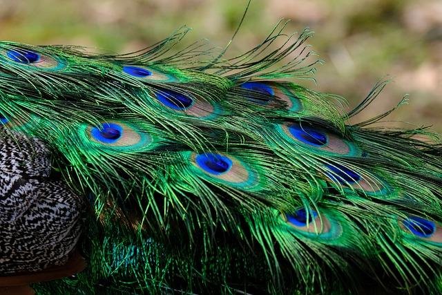 Naturaleza deslumbrante: refugios perfectos para el viajero solitario