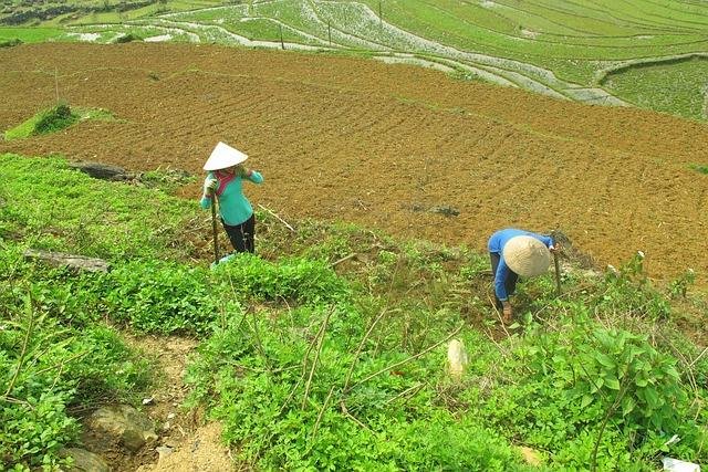 La Naturaleza deslumbrante de Camboya: Lugares Imperdibles