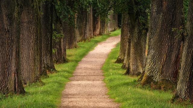 Caminos de amor: experiencias románticas en el bullicio urbano
