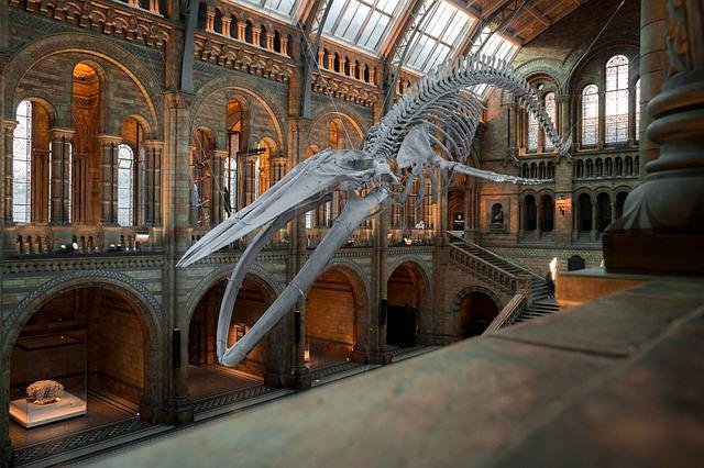 Explorando la Cultura: Museos y Tradiciones ​para ⁢el⁤ Viajero Solo