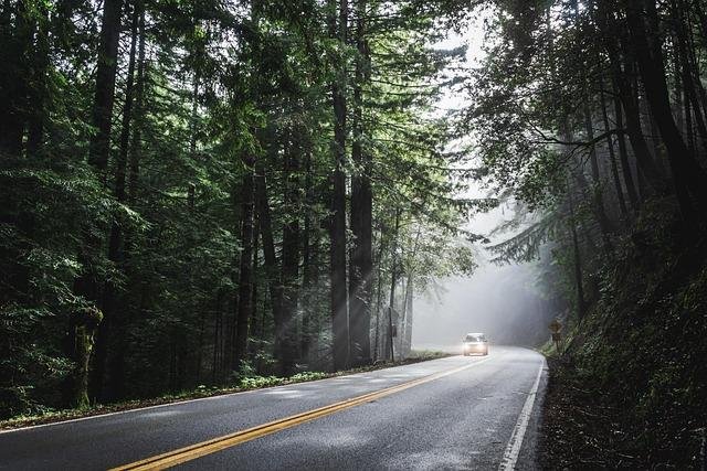 Consejos Prácticos: seguridad y Planificación para tu Viaje en Solitario